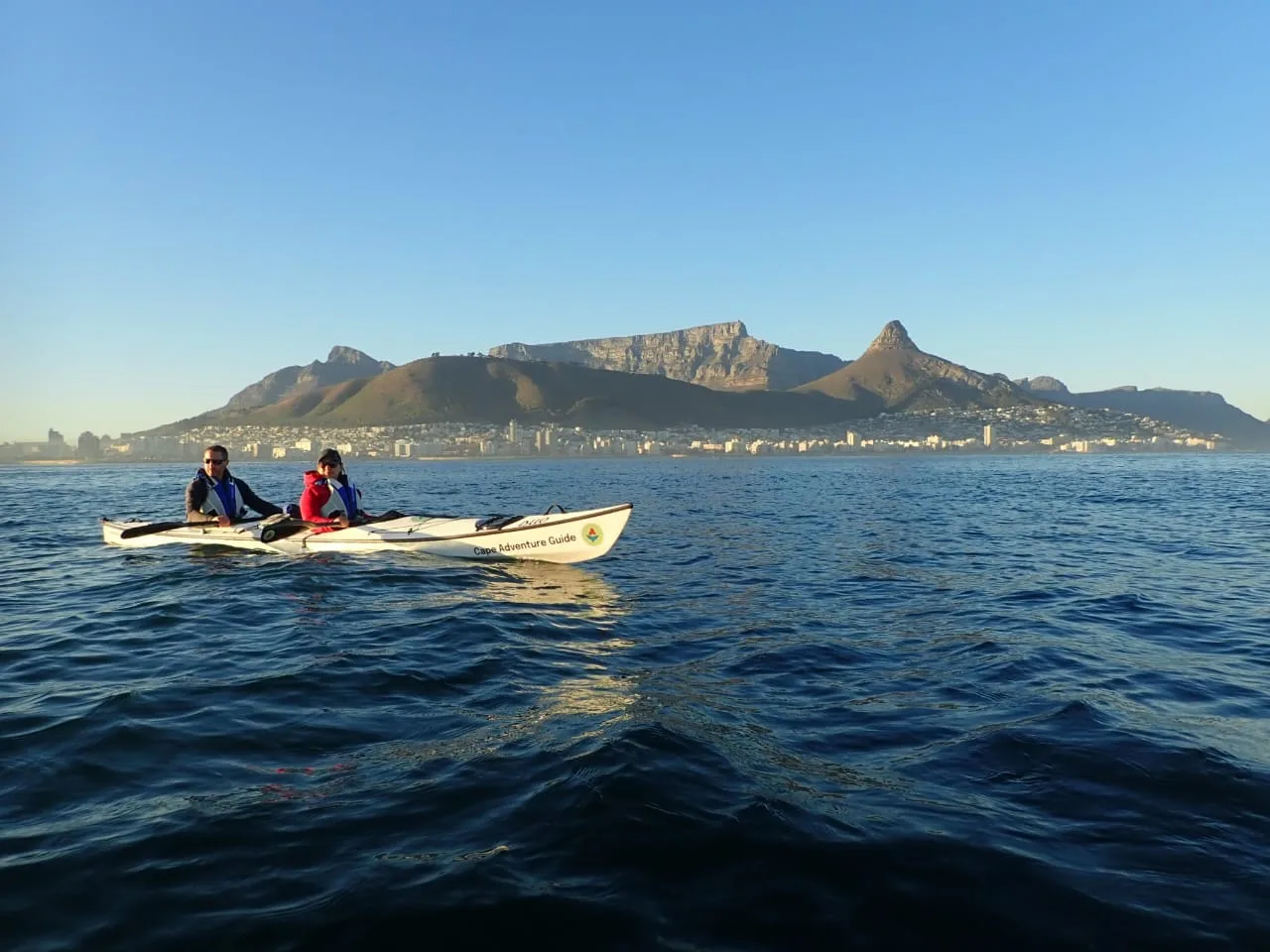 Kayaking with African penguins in Cape Town